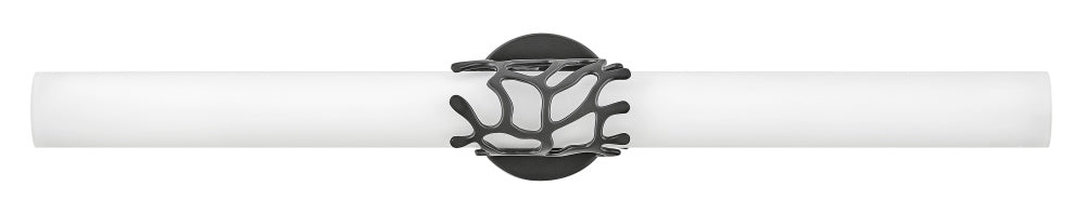 Hinkley 50873BK Large LED Vanity