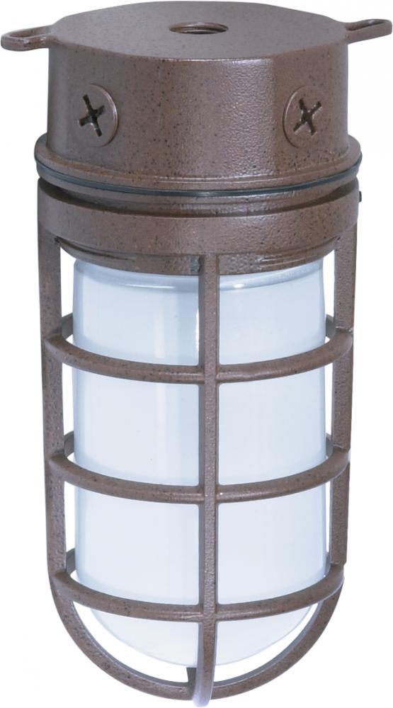 Nuvo SF76-625 1 Light - 10" Vapor Proof - Surface Mount with Frosted G