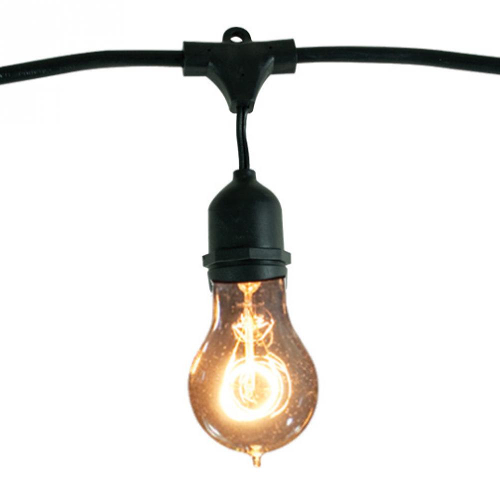 Bulbrite 810004 STRING15/E26-A19KT