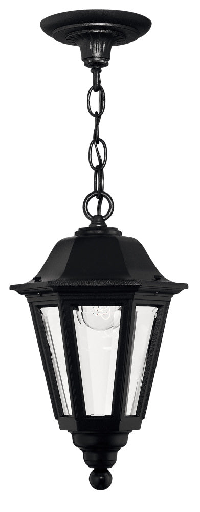 Hinkley 1412BK Medium Hanging Lantern
