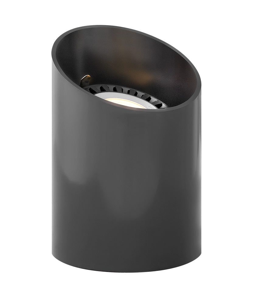 Hinkley 1598BK Par36 Reversible