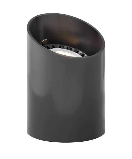 Hinkley 1598BK Par36 Reversible