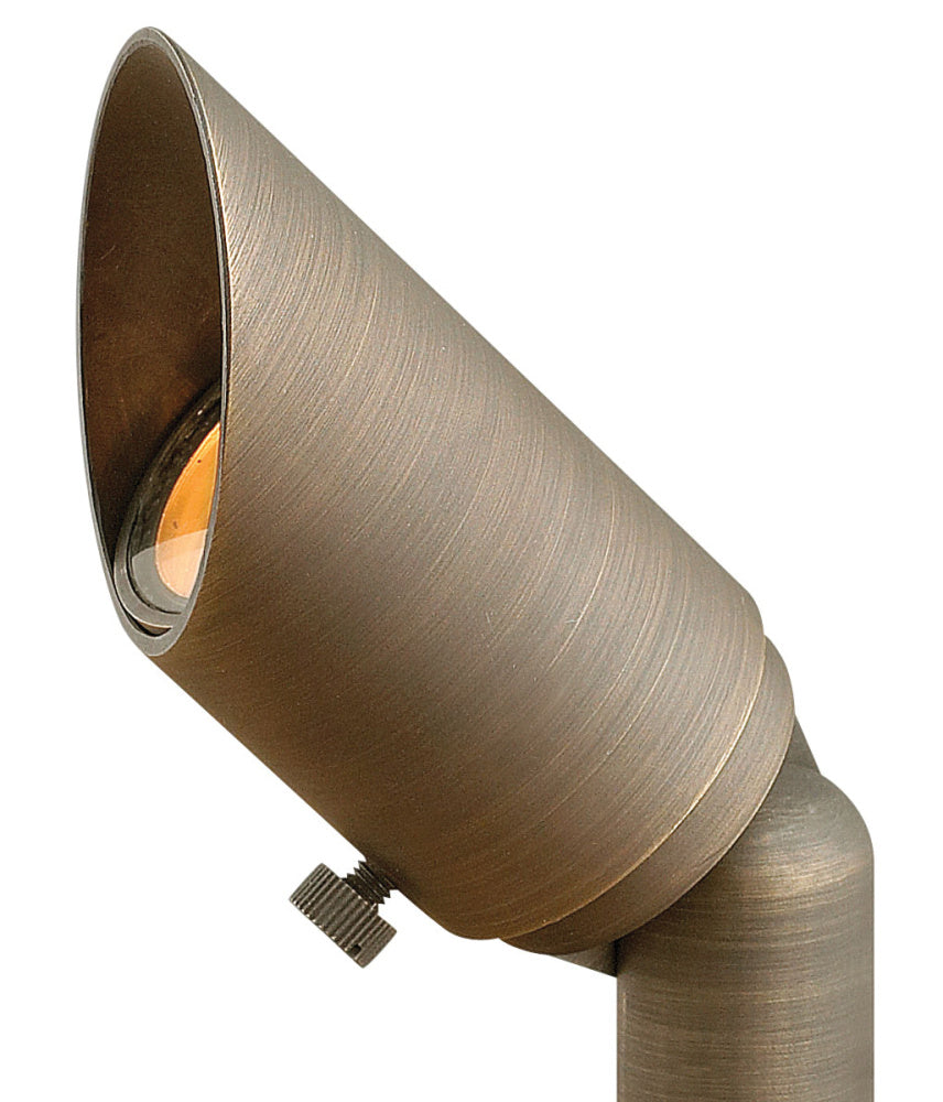 Hinkley 16501MZ 12V MR11 Small