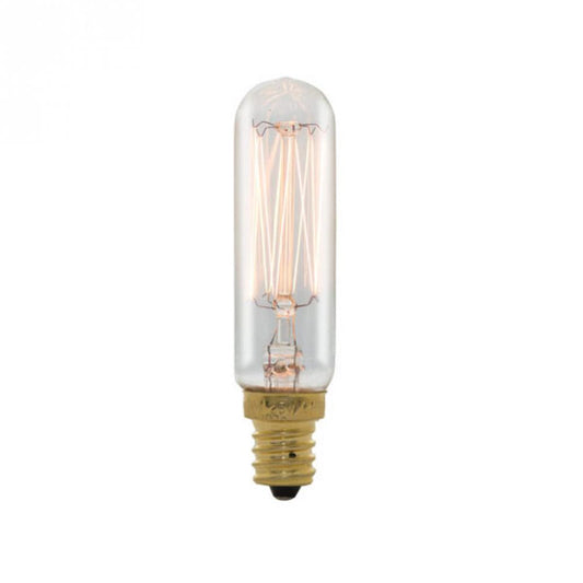 Bulbrite 132507 25T6/SQ/E12
