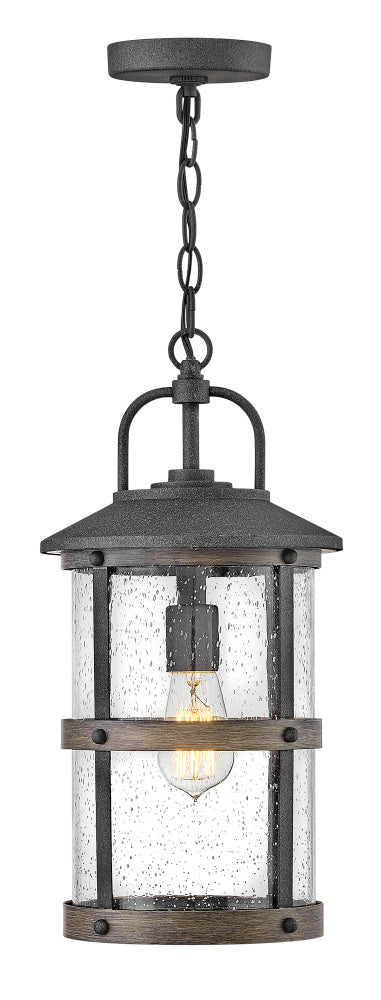 Hinkley 2682DZ Medium Hanging Lantern