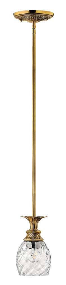 Hinkley 5317BB Extra Small Pendant