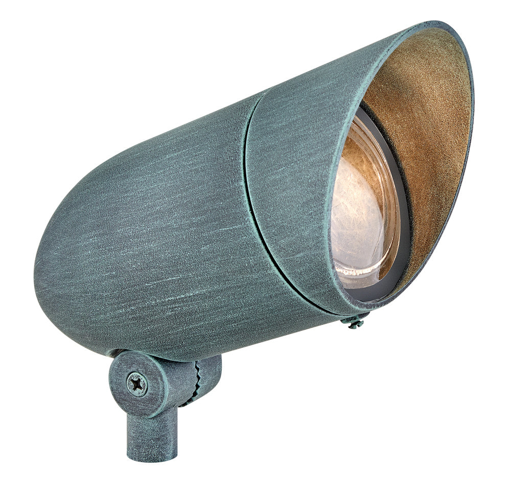 Hinkley 54000VE Small 120v Spot Light