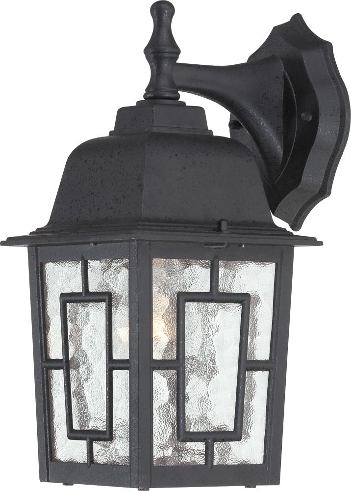 Nuvo 60-4923 Banyan; 1 Light; 12 in.; Outdoor Wall with Clear Water Gl