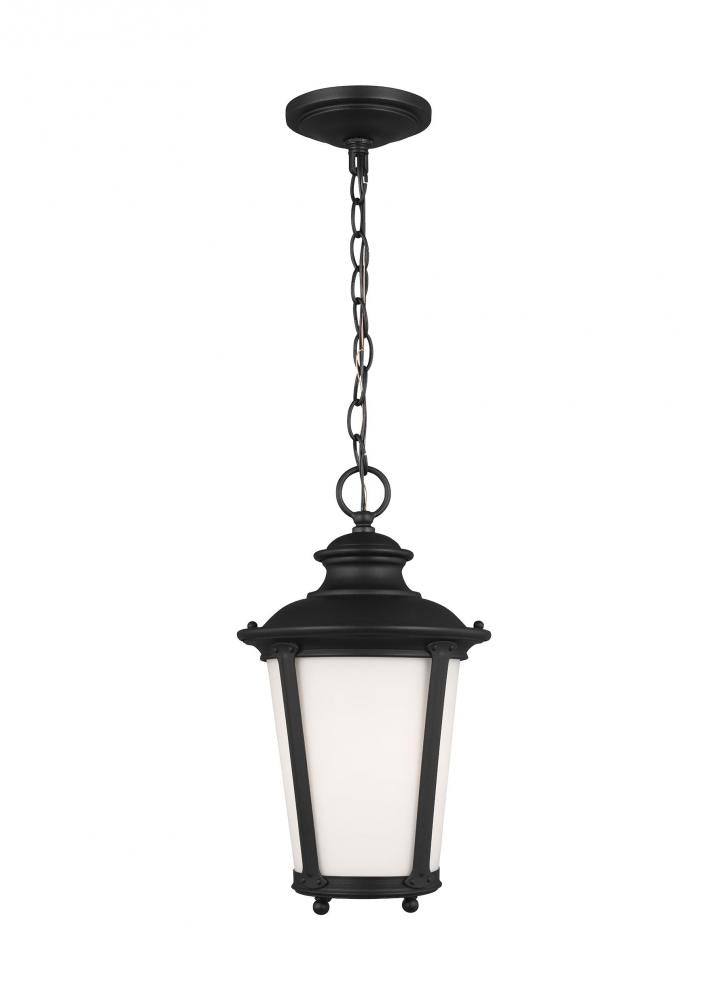 Generation Lighting 62240EN3-12 Cape May traditional 1-light LED outdoor exterior hanging ceiling pendant in black finish with etche