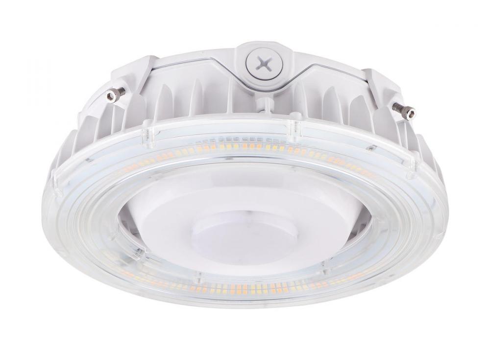Nuvo 65-625 LED Canopy Fixture; 40 Watt; CCT Selectable; White Finish;