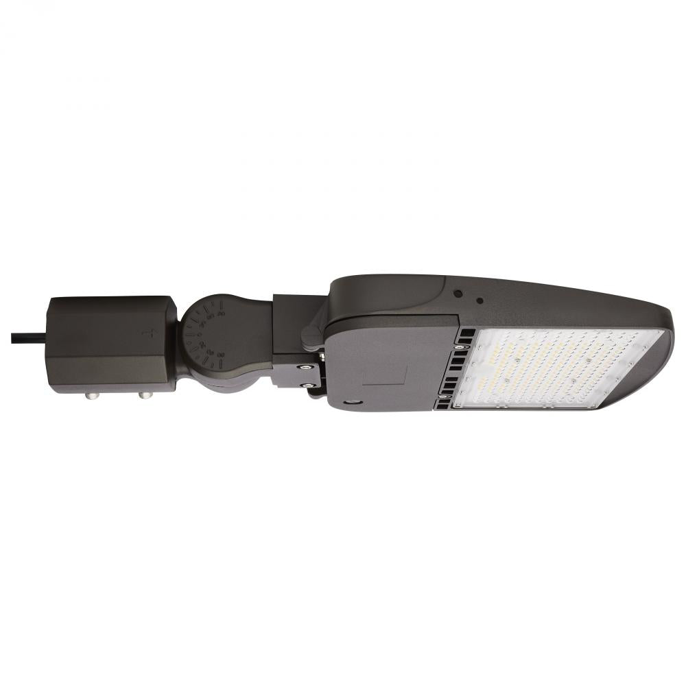 Nuvo 65-860-5 LED Area Light Type V; 100W; Bronze Finish; 4000K; 277-4