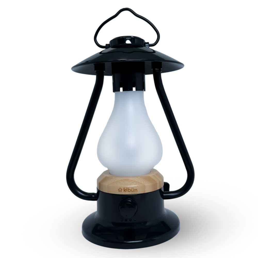 Bulbrite K80120 BONFIRE/TL/BK
