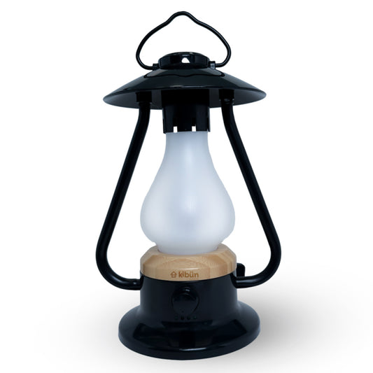 Bulbrite K80120 BONFIRE/TL/BK