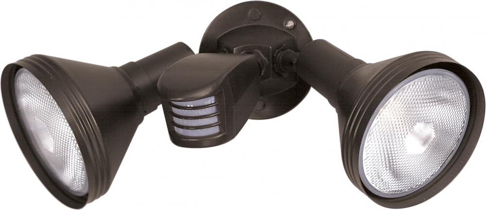 Nuvo SF76-531 2 Light - 14" Flood Light- PAR38 with Adjustable Swivel 