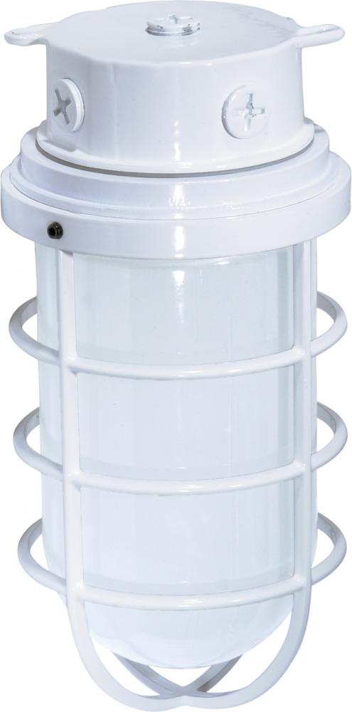 Nuvo SF76-618 1 Light - 11" Vapor Proof - Surface Mount with Frosted G
