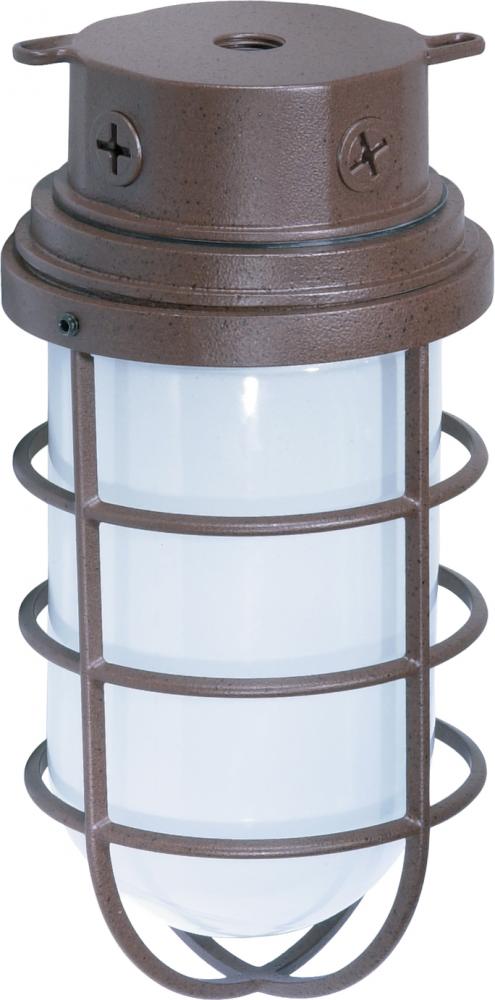 Nuvo SF76-627 1 Light - 10" Vapor Proof - Surface Mount with Frosted G