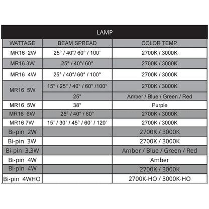Dauer 490010 • DIPLOMAT Brass Wall Washer- Large