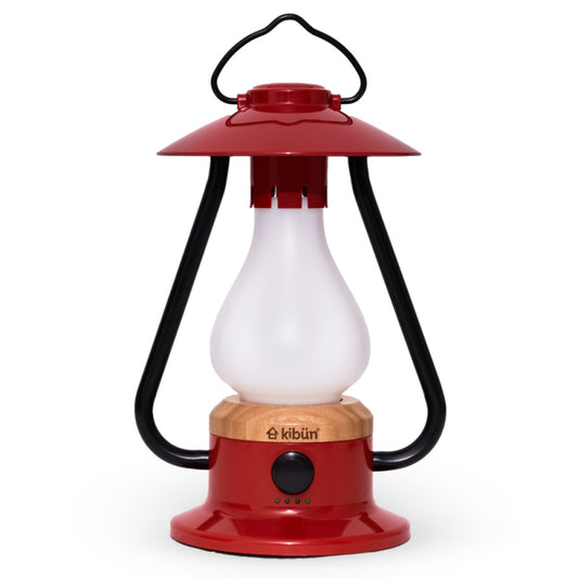 Bulbrite K80121 BONFIRE/TL/RD